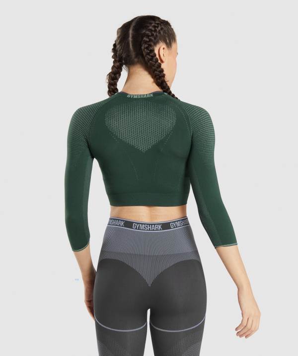 Damske Crop Top Gymshark Apex Seamless Obsidian Zelene Hnede / Zelene | KD2760594
